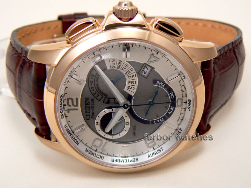 CITIZEN MEN ECO DRIVE PERPETUAL CALENDAR BL8052 00A  