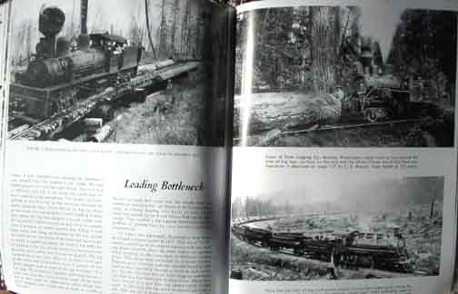 LARGE COMPREHENSIVE PHOTO HISTORY Of LOGGING 1890 1925  