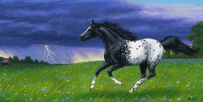 Black white appaloosa horse spring storm landscape limited edition 