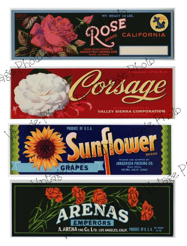 Vintage Can Labels Collage Sheet A162  