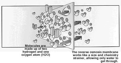 if two aqueous solutions of different salinity are separated by