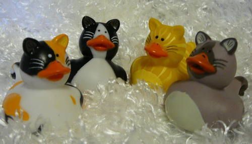 KITTY RUBBER DUCKS Tabby Calico Striped Kitten Cat Kids Party Favors 