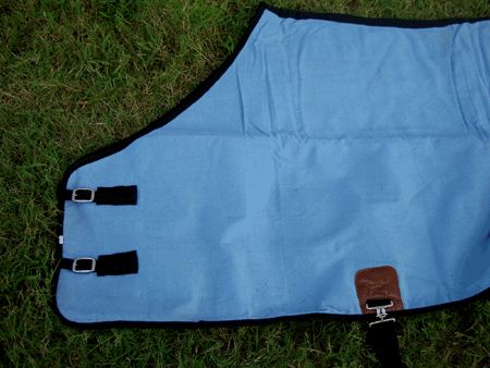 CANVAS TURNOUT HORSE DUCK WINTER BLANKET TURQUOISE 62  