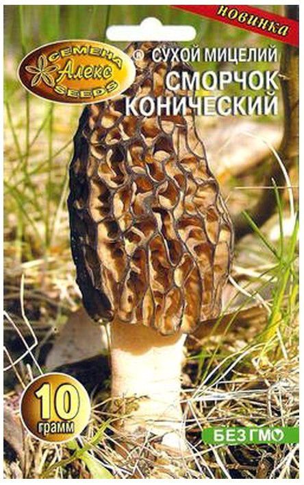 TRUE MOREL MUSHROOMS GROW KIT Сморчок SEED SPORES PACK ORGANIC 