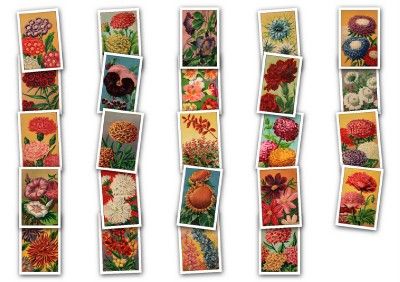 Vintage 20s French Flower seed Label Images ClipArt CD  