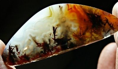 Rare Trent agate Cabochon 44.5cts  