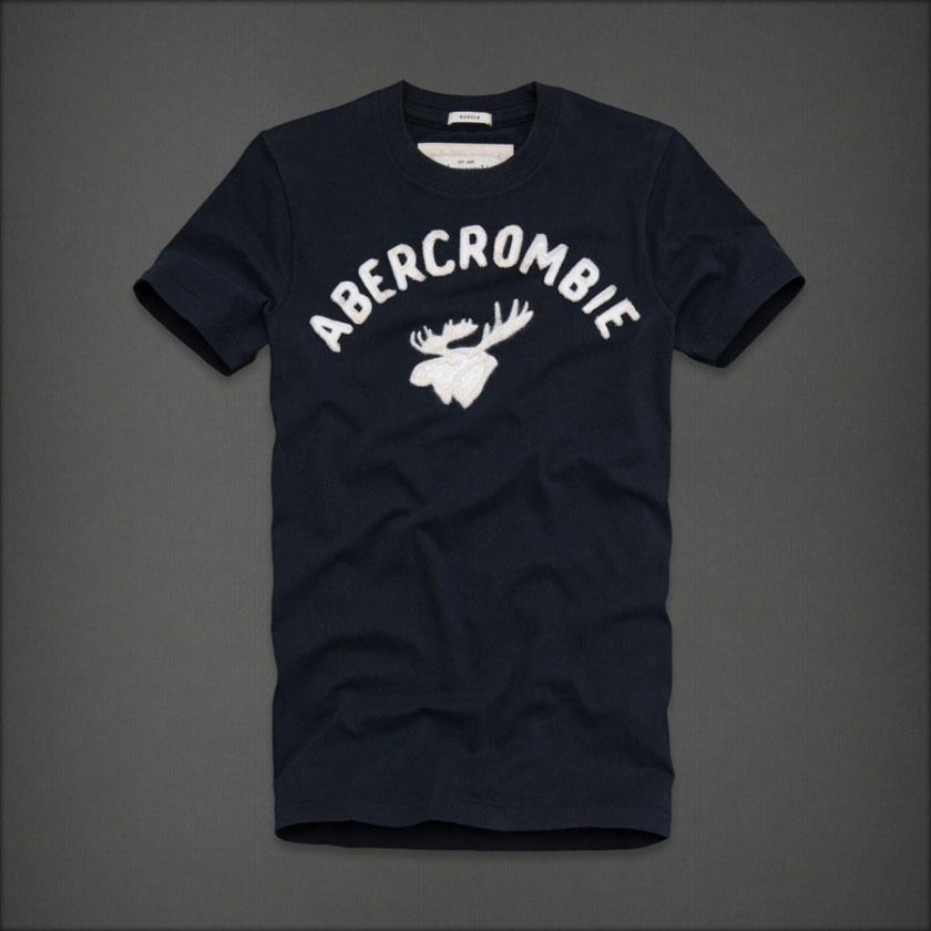 NWT Abercrombie Men Avalanche Mountain Tee T Shirt  