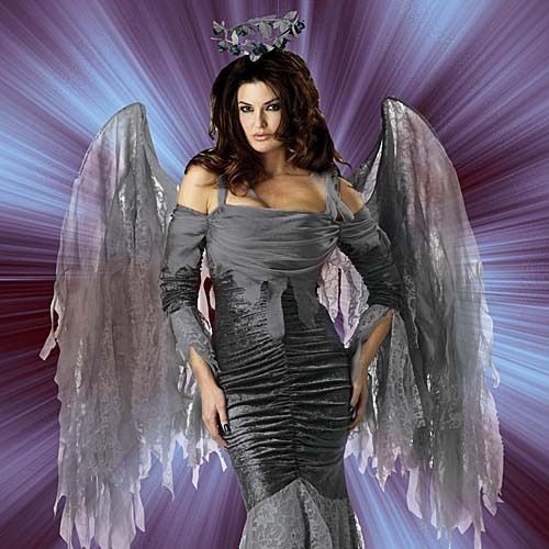 Fallen Angel Woman’s Organza Costume w/ Wings & Halo  