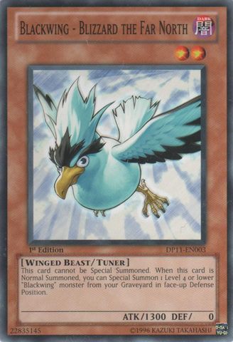 Blackwing   Blizzard the Far North 1E DP11 EN003 Yugioh Mint/NM  