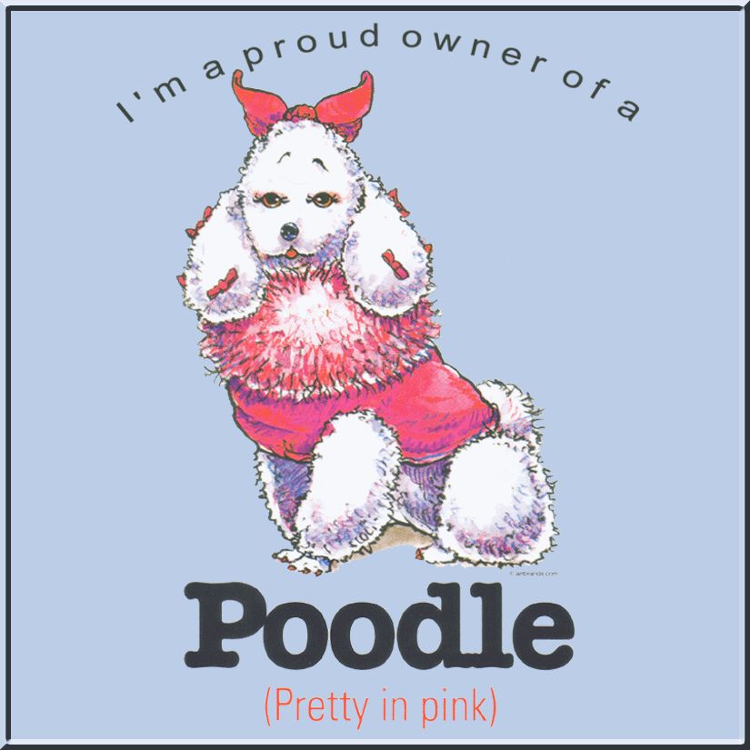 Funny Poodle In Pink Dog Breed Shirts S XL,2X,3X,4X,5X  