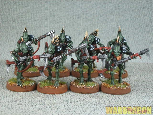 40K WDS Painted Tau Empire Kroot Carnivore Squad m74  