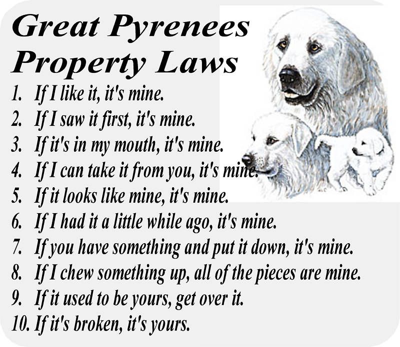 GREAT PYRENEES BIG DOG PROPERTY LAWS COMPUTER MOUSE PAD  