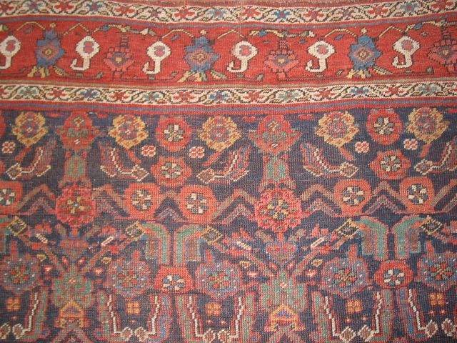 Antique Kurd Bidjar 89 x105 Collectors Rug B 7979  