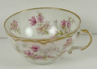 Antique Haviland + Haviland & Co LIMOGES Tea Cup, Pink Orchids, Dbl 