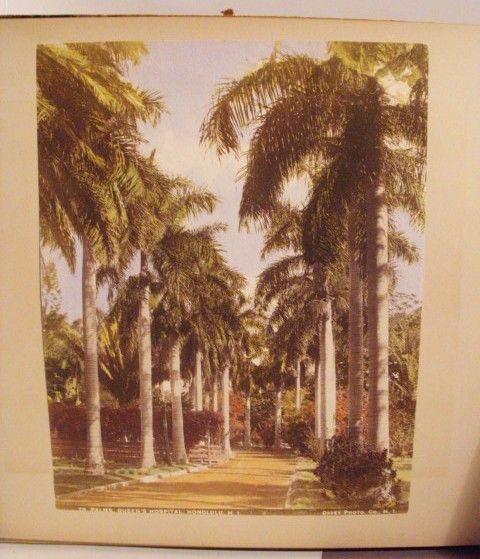 RARE FRANK DAVEY PERSONAL PHOTO/ ART ALBUM 1898 HAWAII  