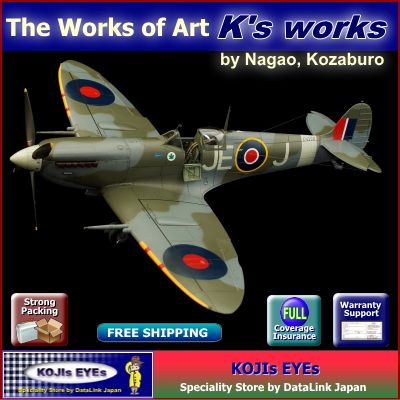   Supermarine Spitfire Mk.IXc Fine Art Semi Custom Model Mr.Nagao  