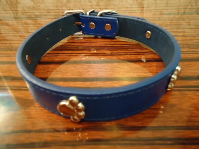 Dog Pet Personalized Collar adjustable size us seller fast shipping 