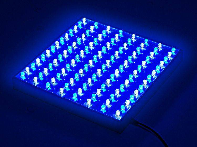 200w LED Aquarium Coral Light Blue White Plant Grow  