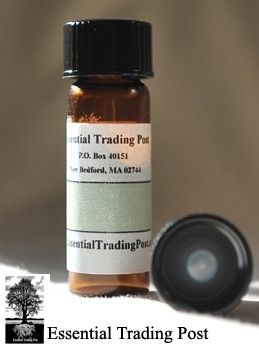 White Ginger Oil Essential Trading Post Oils 1 Dram  