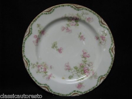 Haviland & Co. Limoges Floral Pattern Decorative Plate  