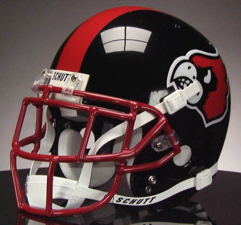 LOUISVILLE CARDINALS 1984 Football Helmet Decals FREE  