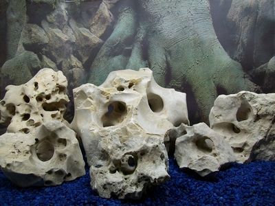 NATURAL TEXAS HOLEY LIMESTONE CICHLID AQUARIUM ROCK #56  