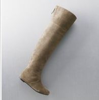 Ann Taylor Loft Jossa Suede Over the Knee Flat Boot NIB  