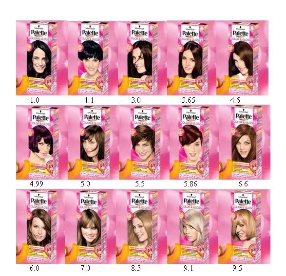 Schwarzkopf Palette Hair colour color  