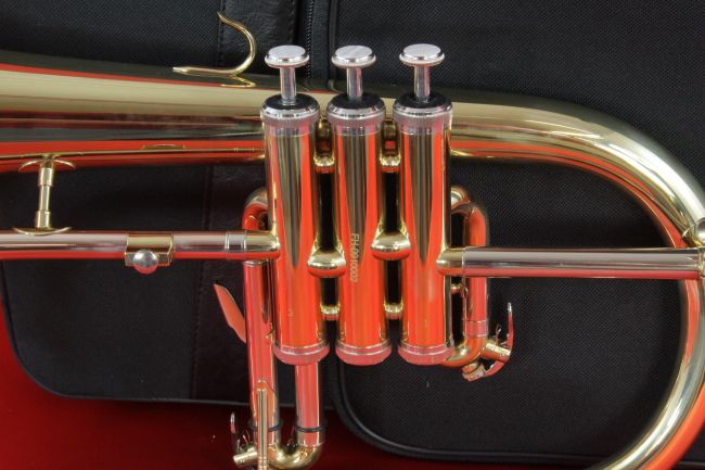   Bb Flugelhorn with Deluxe Case and Mouthpiece, New, SEE VIDEO  