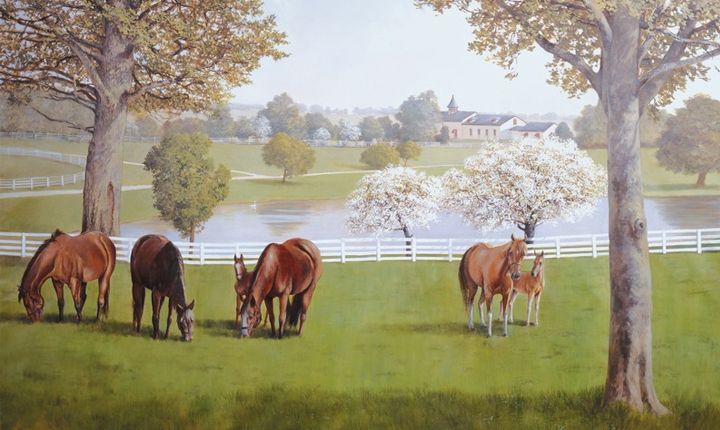   Thoroughbred HORSE FARM 6x10 feet Wallpaper Wall Decor Mural RA0197MMP