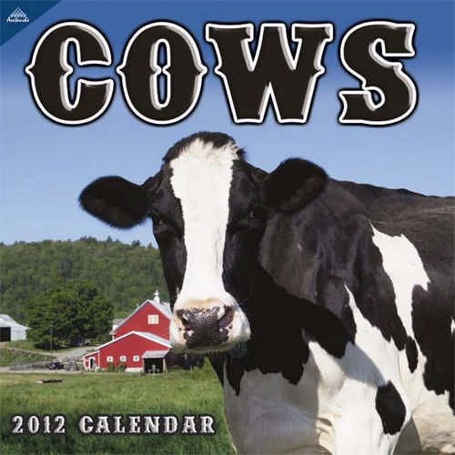 Cows 2012 Wall Calendar  